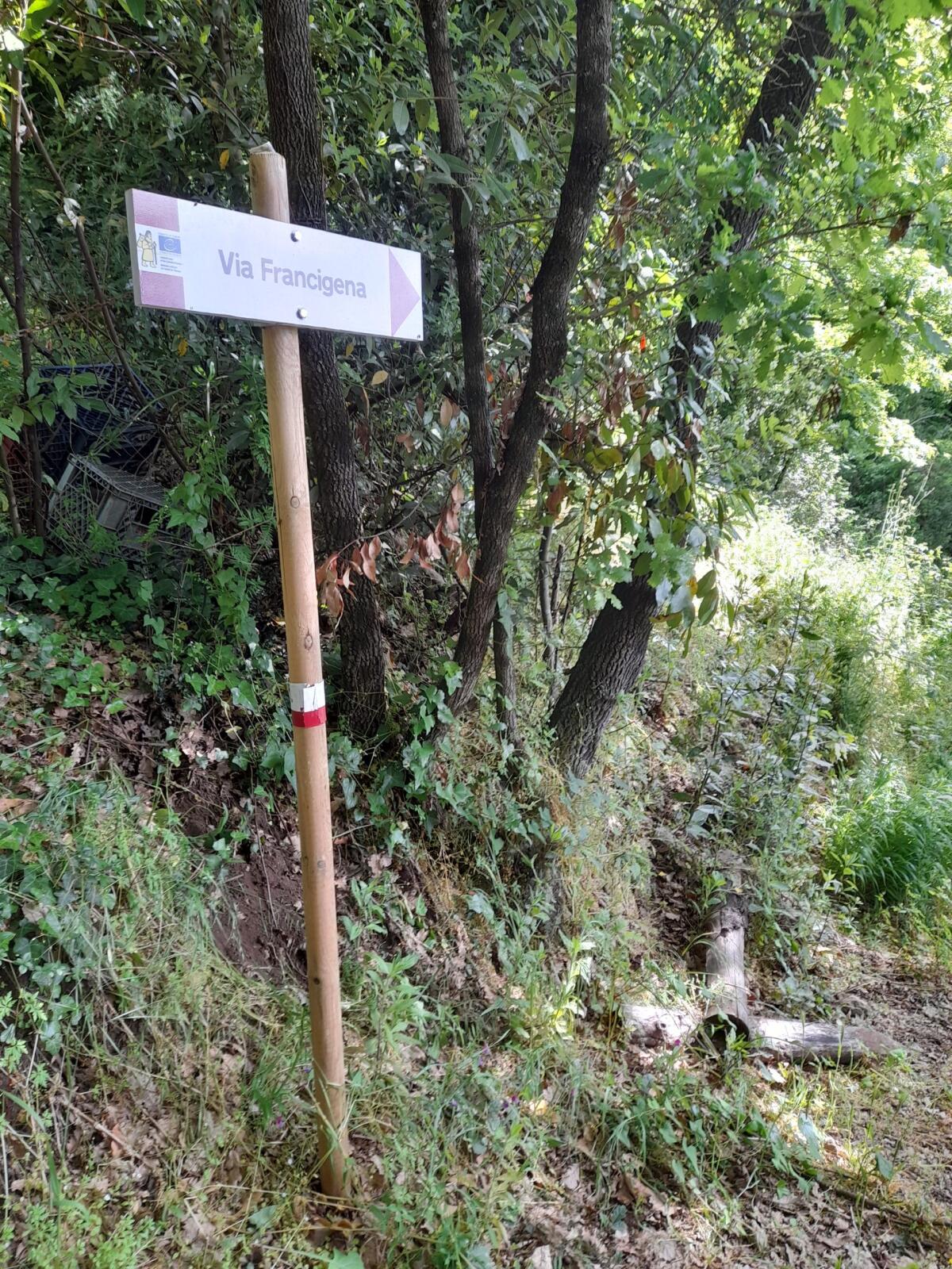 Continuano le passeggiate del comitato “No Bretella”. Questa domenica si esplorano le campagne di Velletri. - 