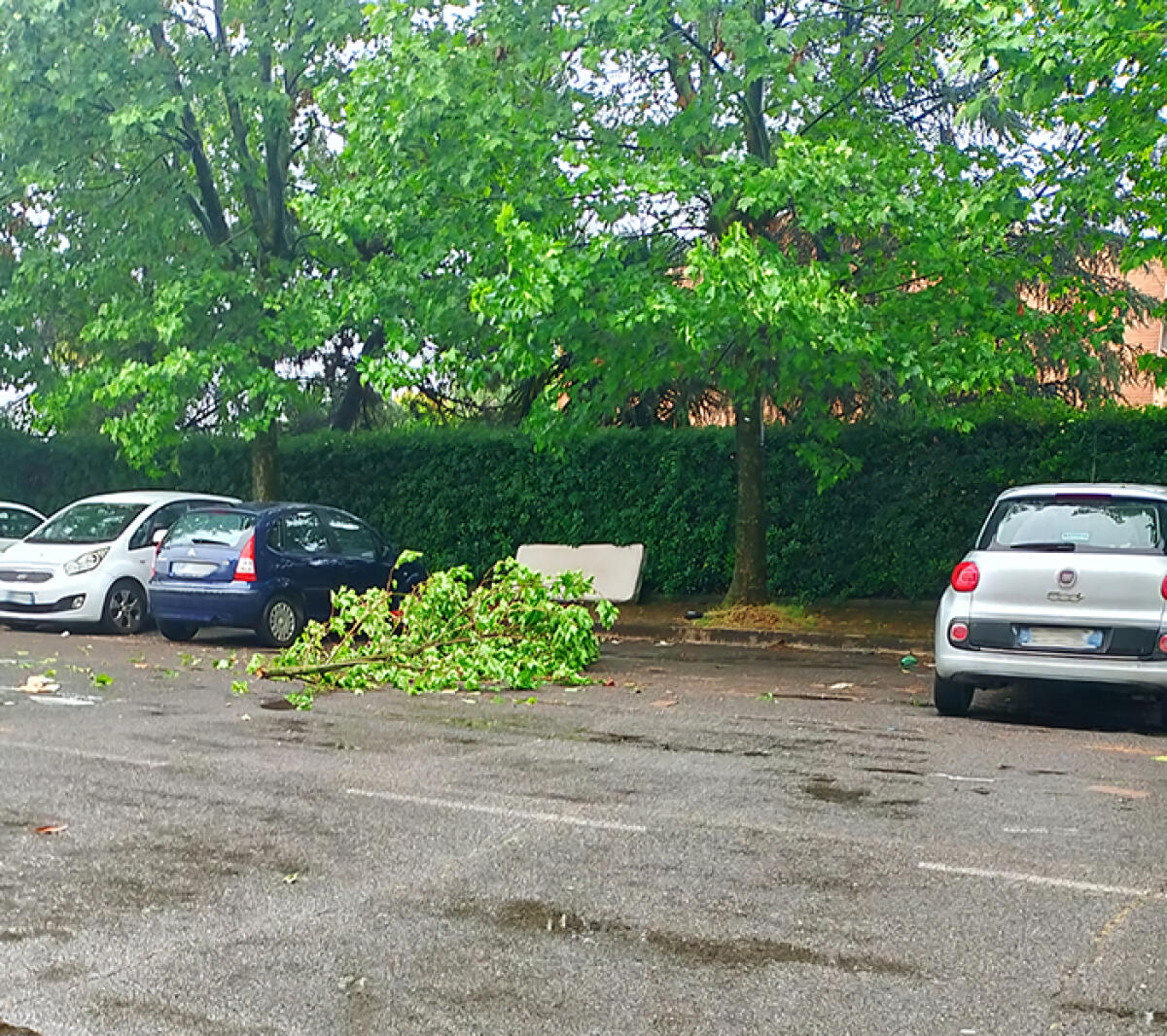Rifiuti abbandonati in strada dagli incivili in via Bruxelles, ad Aprilia. La segnalazione di un ascoltatore. - 