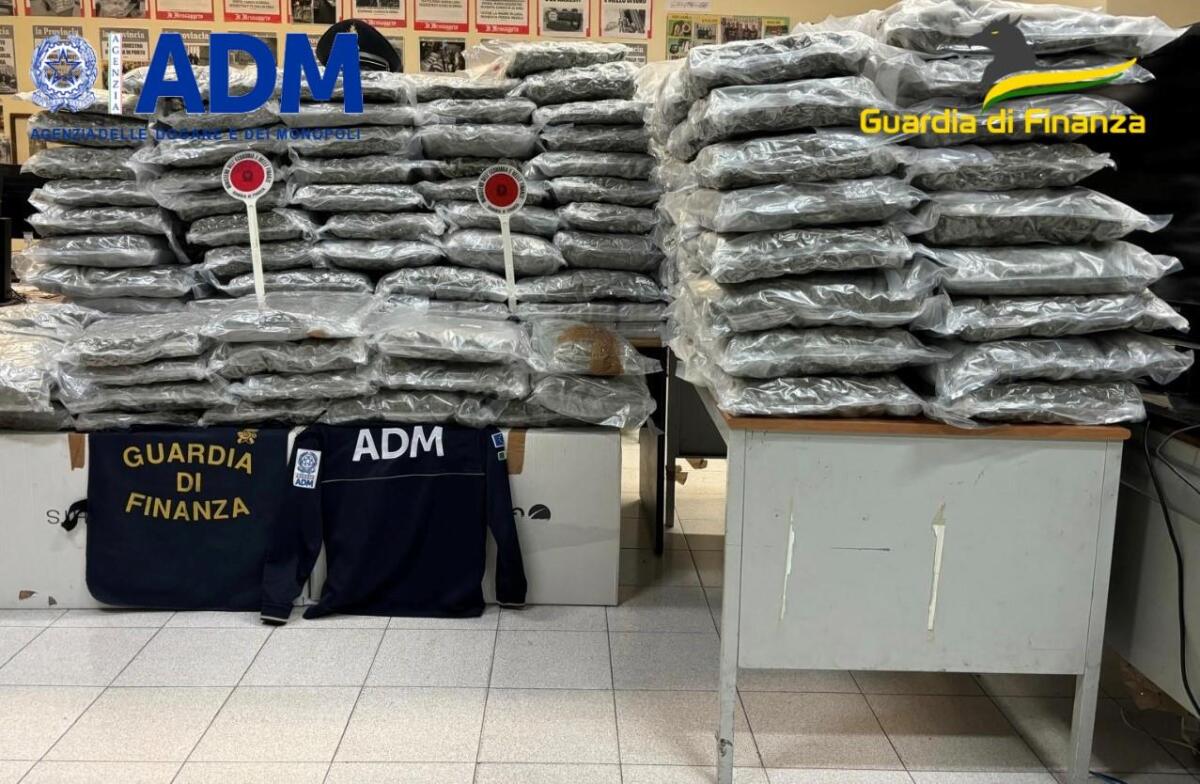 Dogane e Finanza bloccato due carichi di droga da 340 chili: 2 arresti - 