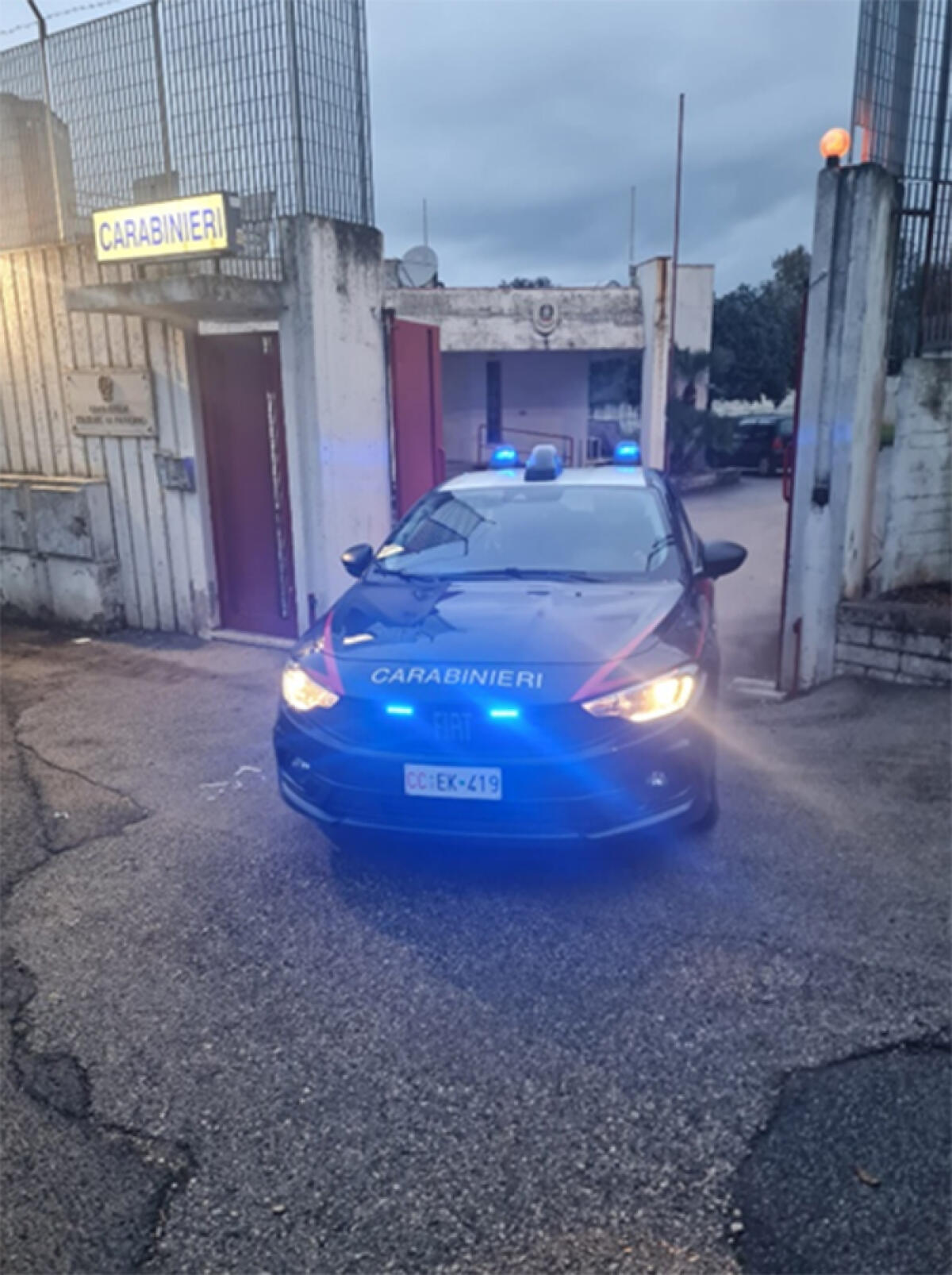 Acquistano 150 litri di olio extravergine di oliva con un falso bonifico da un frantoio di Priverno. - 