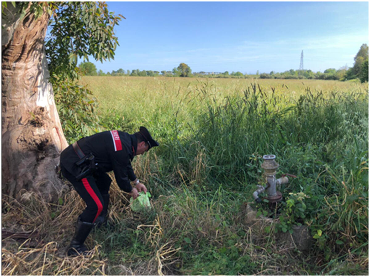 Oltre un chilo di droga sotto sequestro e tre arresti: l'intervento dei carabinieri di Formia - 