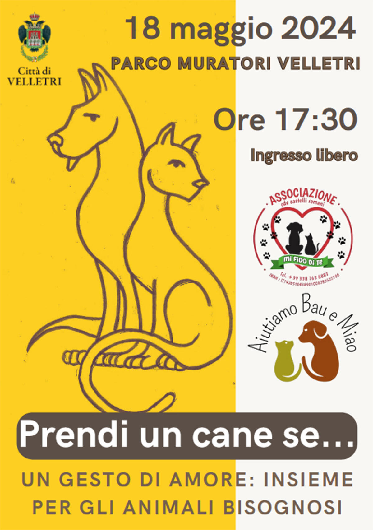 A Velletri l’evento di beneficenza "Prendi un cane se…" - 
