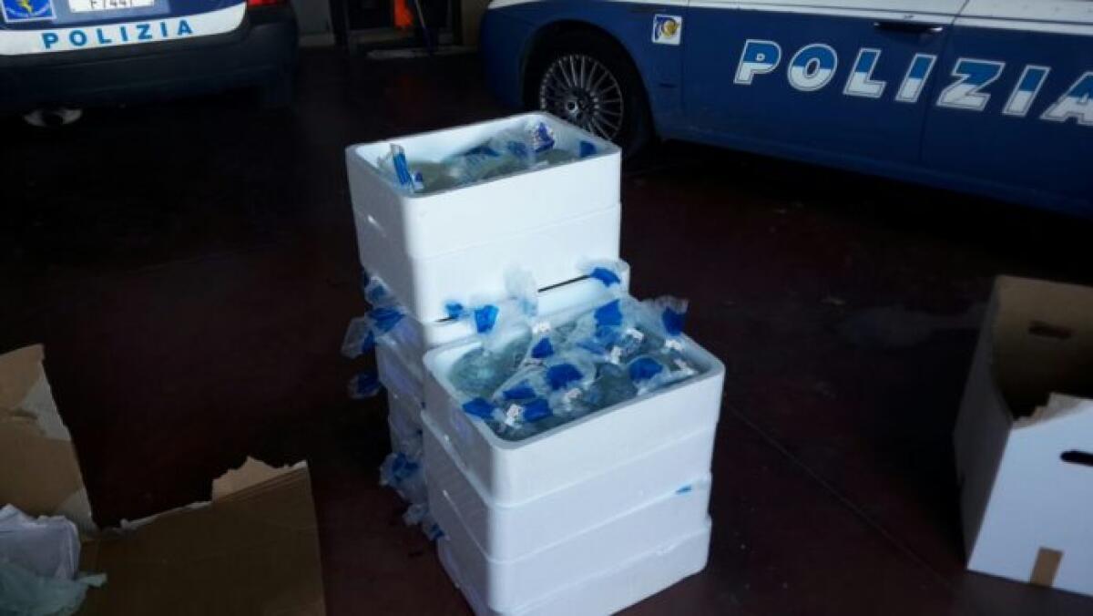 Pontina, camion frigo non funzionante e carico di mozzarella: scatta il sequestro - 