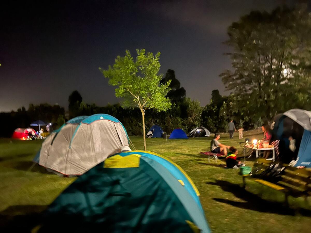 Aprilia - Al Parco Selciatella la "Notte delle giovani marmotte" - 