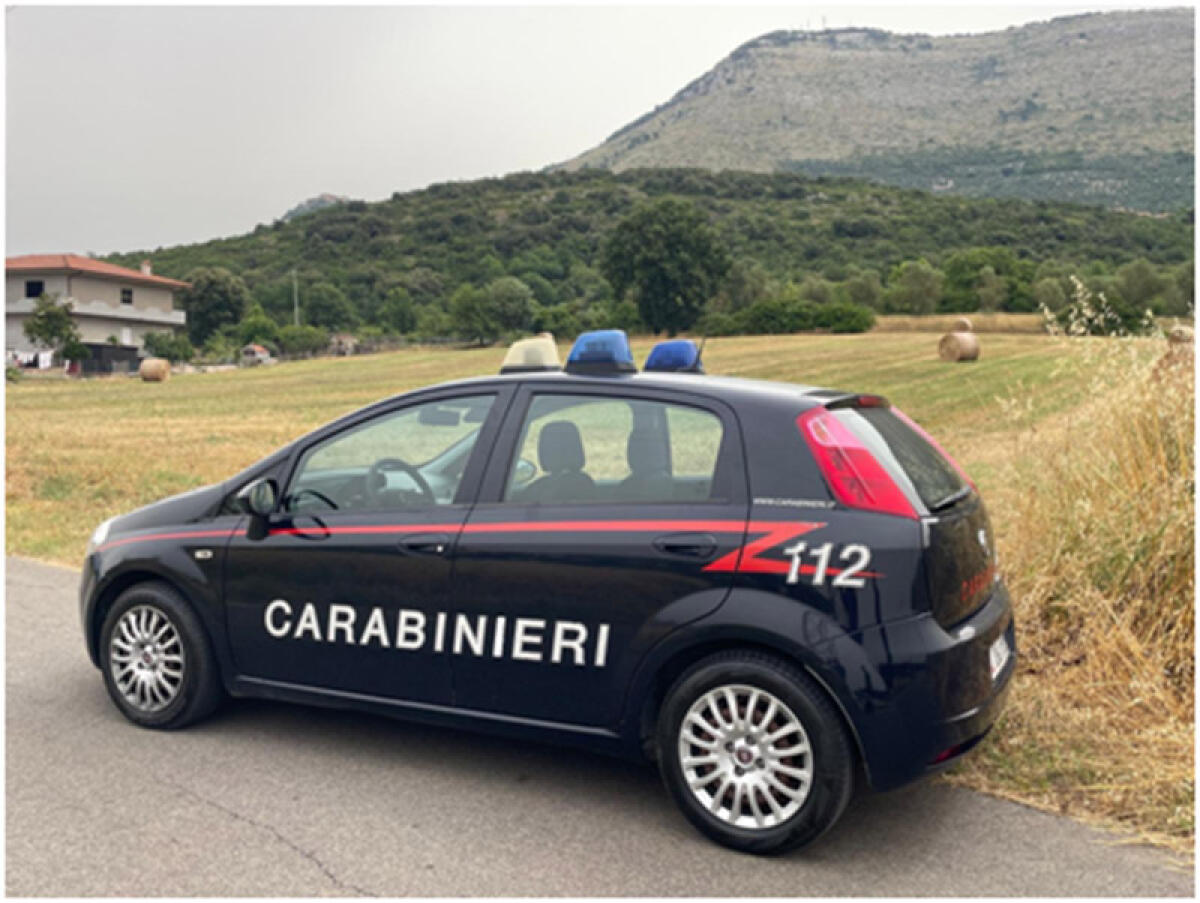 Rubati 400 litri di olio extravergine da un frantoio - 