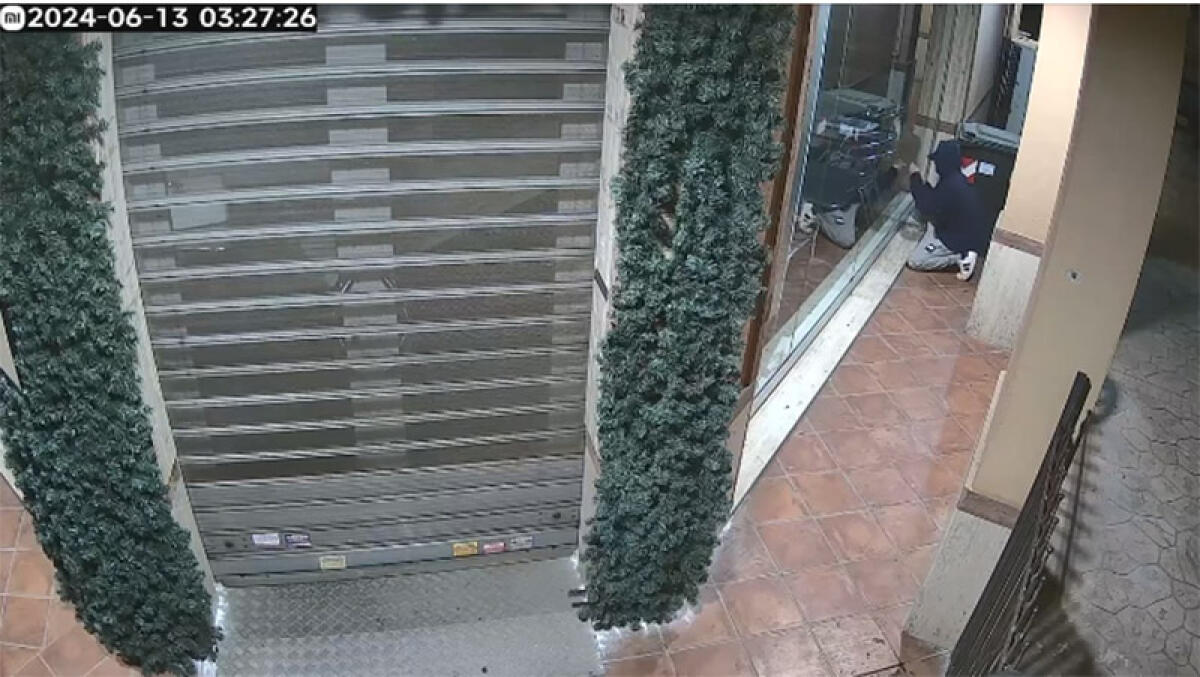 Ladri tentano un furto in due attività commerciali di Aprilia. In via delle Palme sorpresi a girare in giardino - 