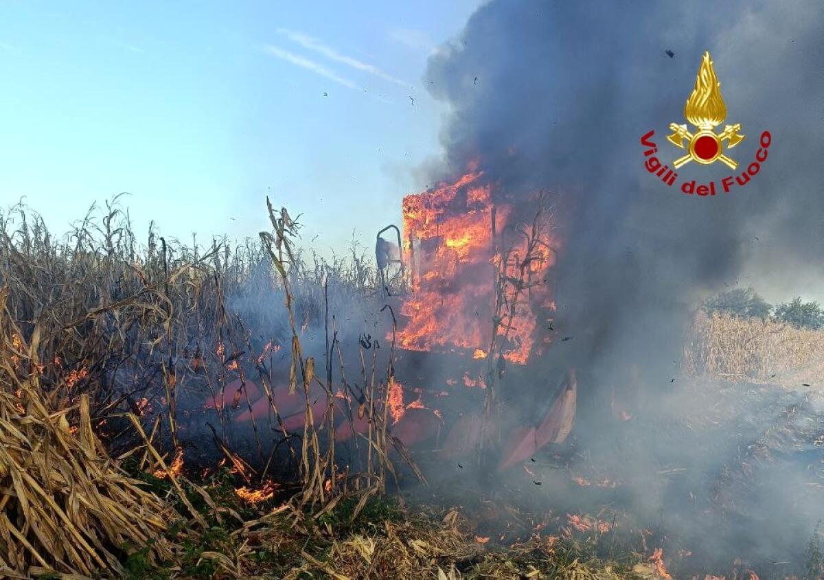 Ustionato dalla trebbiatrice, muore Luigi Guerriero: quinta vittima sul lavoro - 