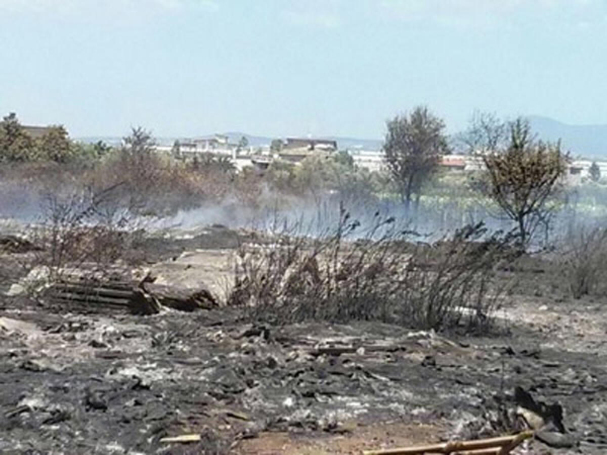 Aprilia - Incendio in un canneto alle spalle del Tuca Tuca - 