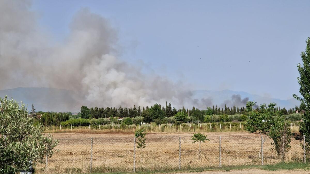 Incendio in un campo alla periferia di Aprilia - 