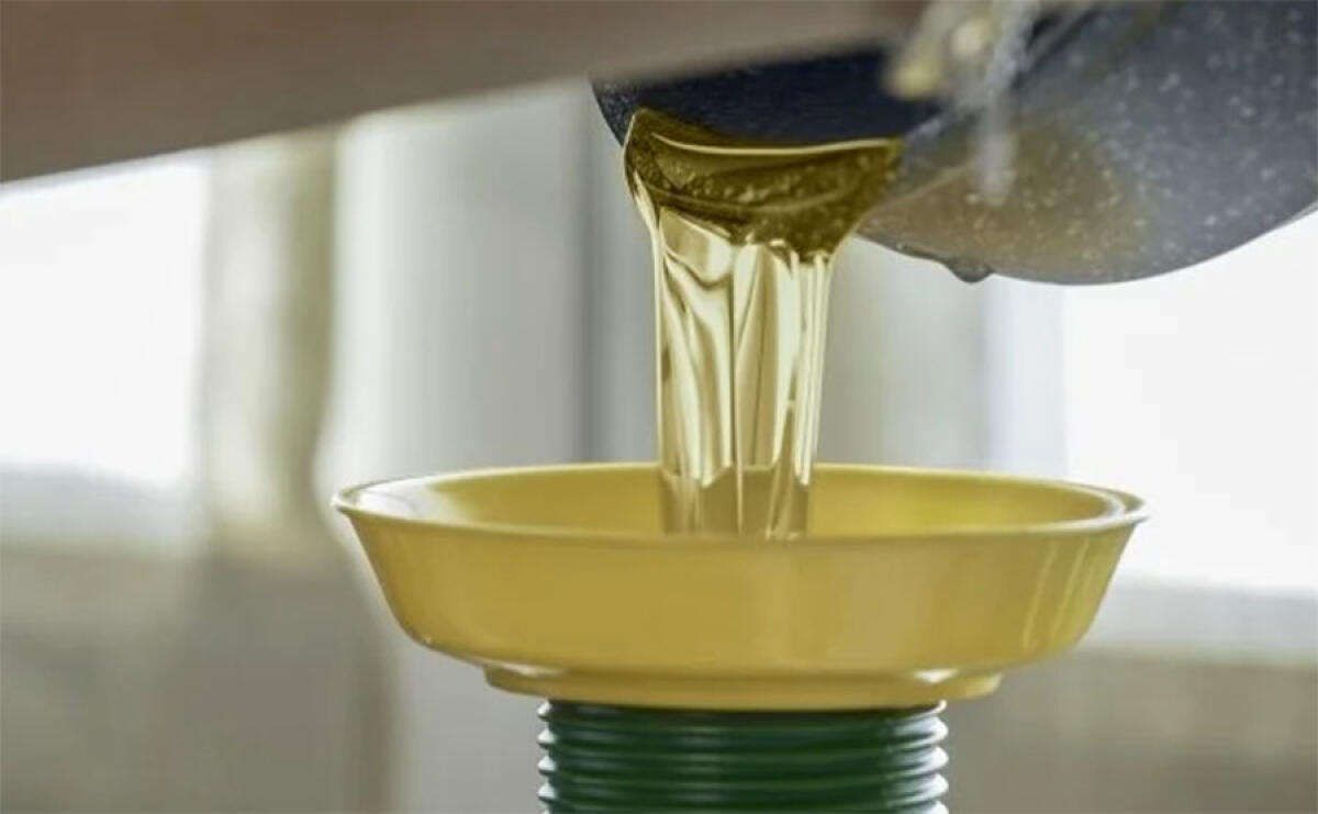 Nel Lazio aumenta la raccolta di oli alimentari esausti: +162% a Latina - 