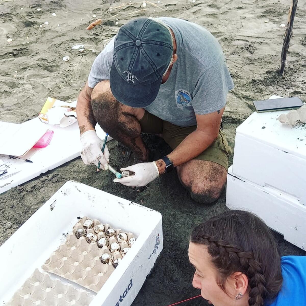Al poligono Uttat di Nettuno due nidi di Caretta Caretta - 