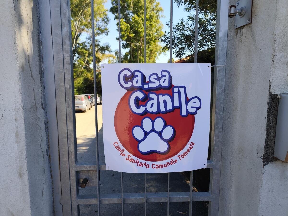 Inaugurato a Pomezia il canile sanitario di via Vaccareccia. Accoglierà cani e gatti smarriti o abbandonati. - 