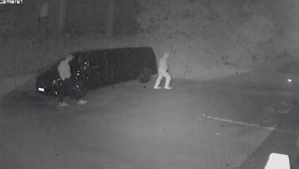 I ladri in un fotogramma recuperato dalle immagini della videosorveglianza in via delle Palme