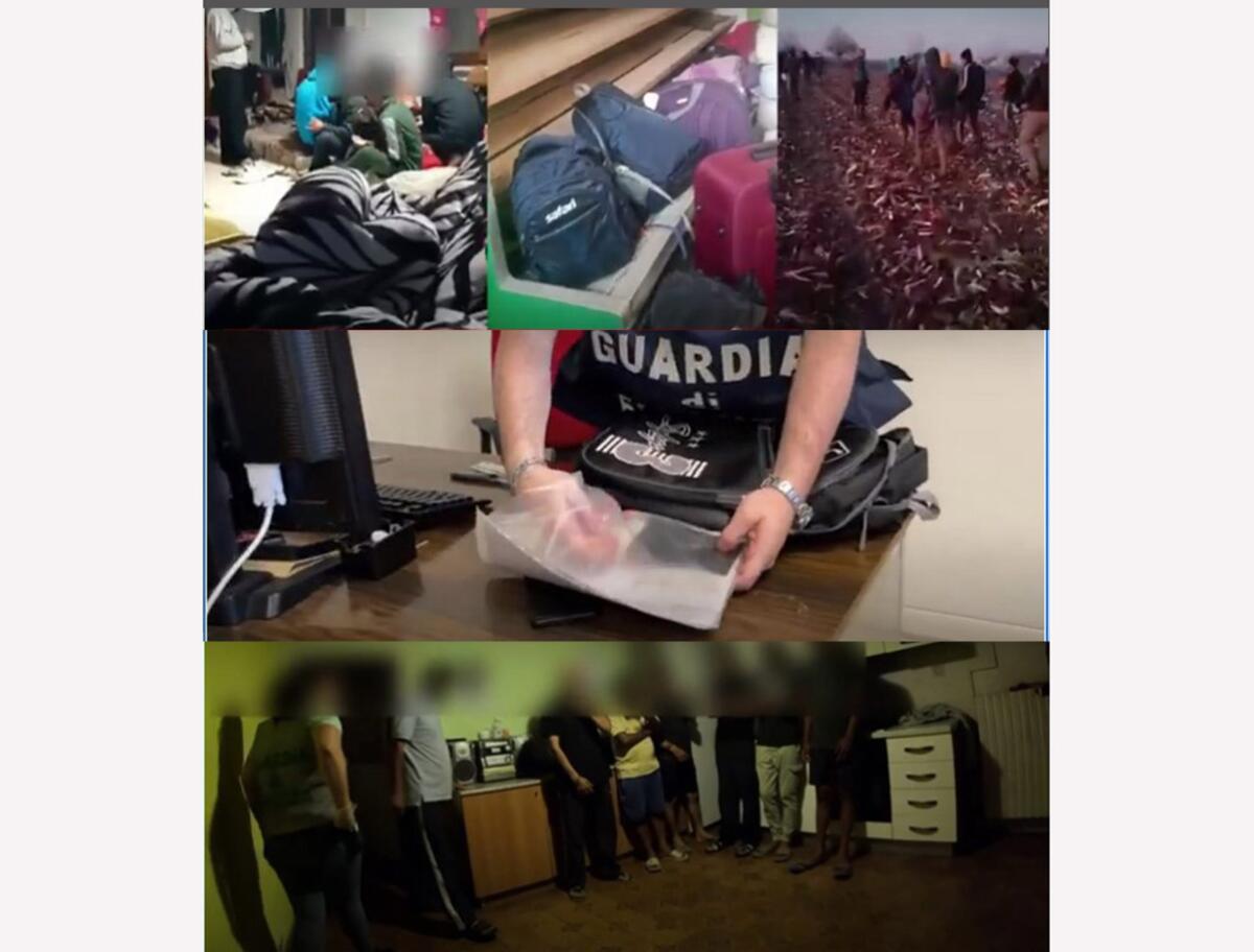 Indiani ridotti in schiavitù nel Veneto: emergono in diverse zone di Italia storie di sfruttamento estremo (VIDEO) - 