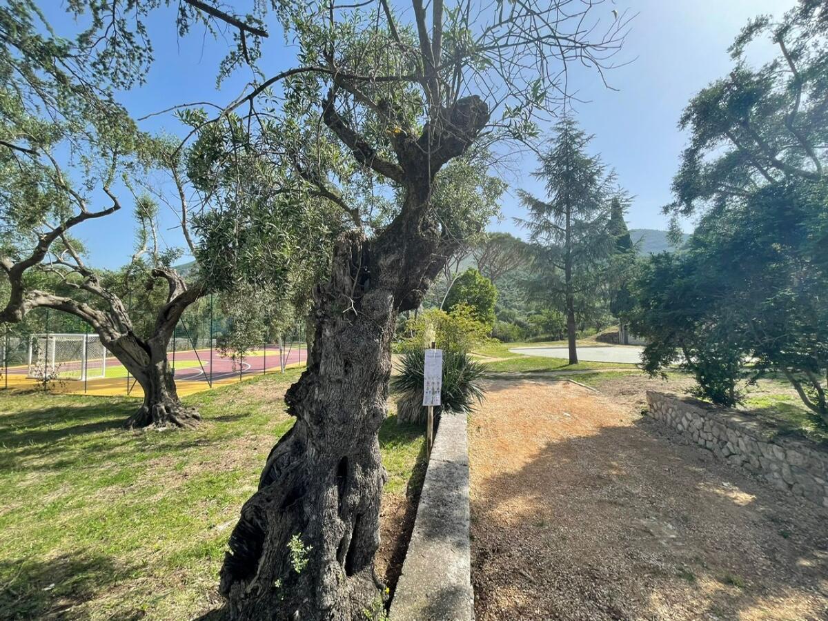 Sermoneta - Un pomeriggio per i bambini questa domenica 14 luglio - 