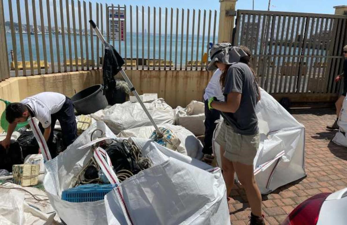 Pesca illegale di polpi tra Anzio ed Ardea con tubi in pvc: sequestrate 850 trappole - 