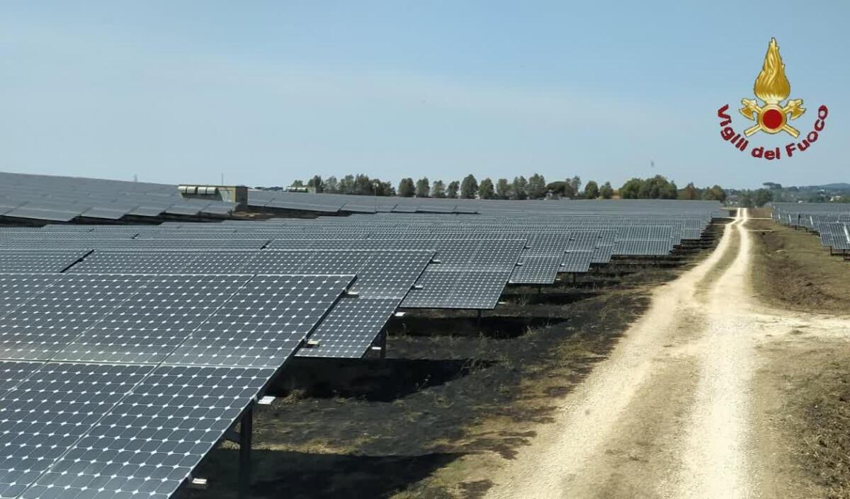 Vasto incendio tra Campoleone e Fontana di Papa, si pensa ad un piromane - 