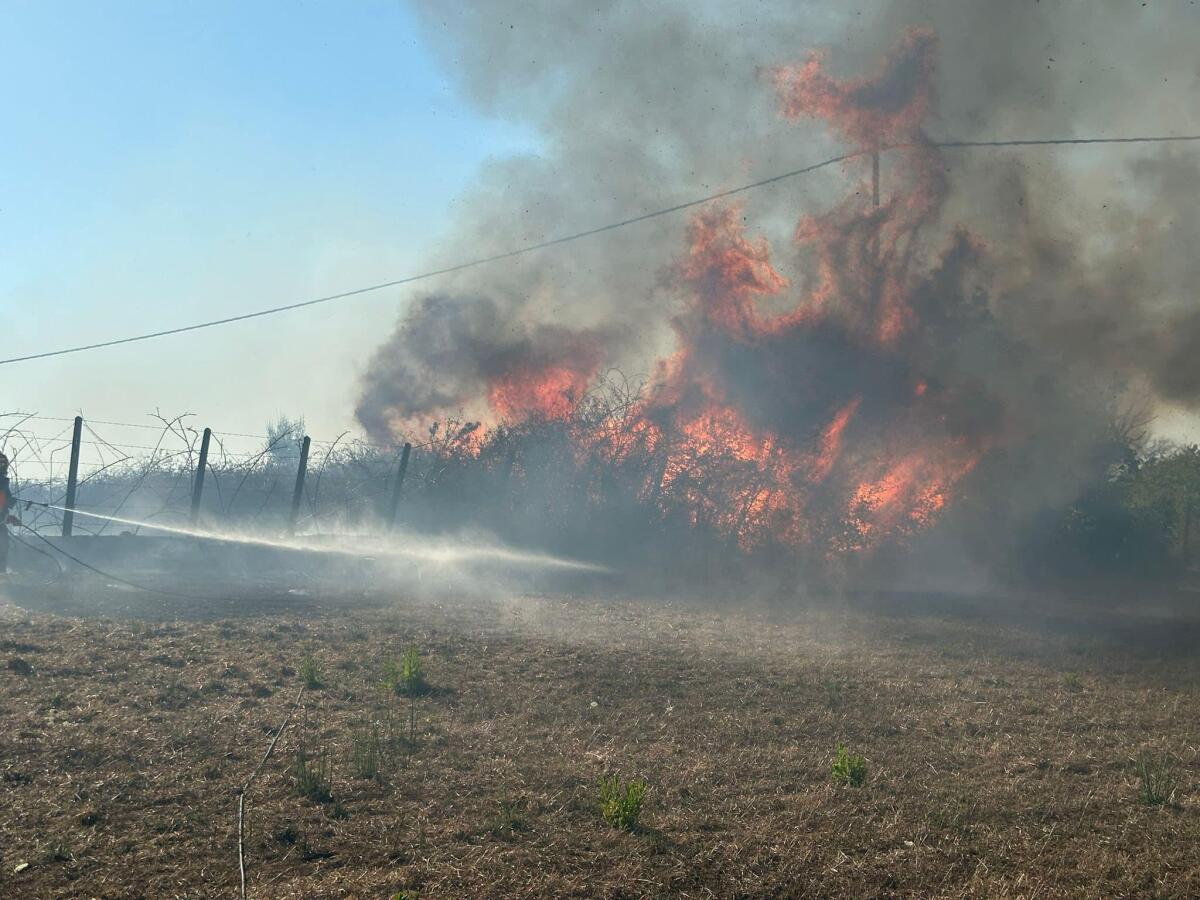 Grosso incendio in via dei Rutuli tra Aprilia ed Ardea: il rogo travolge terreni, sterpaglie e rimessaggi - 