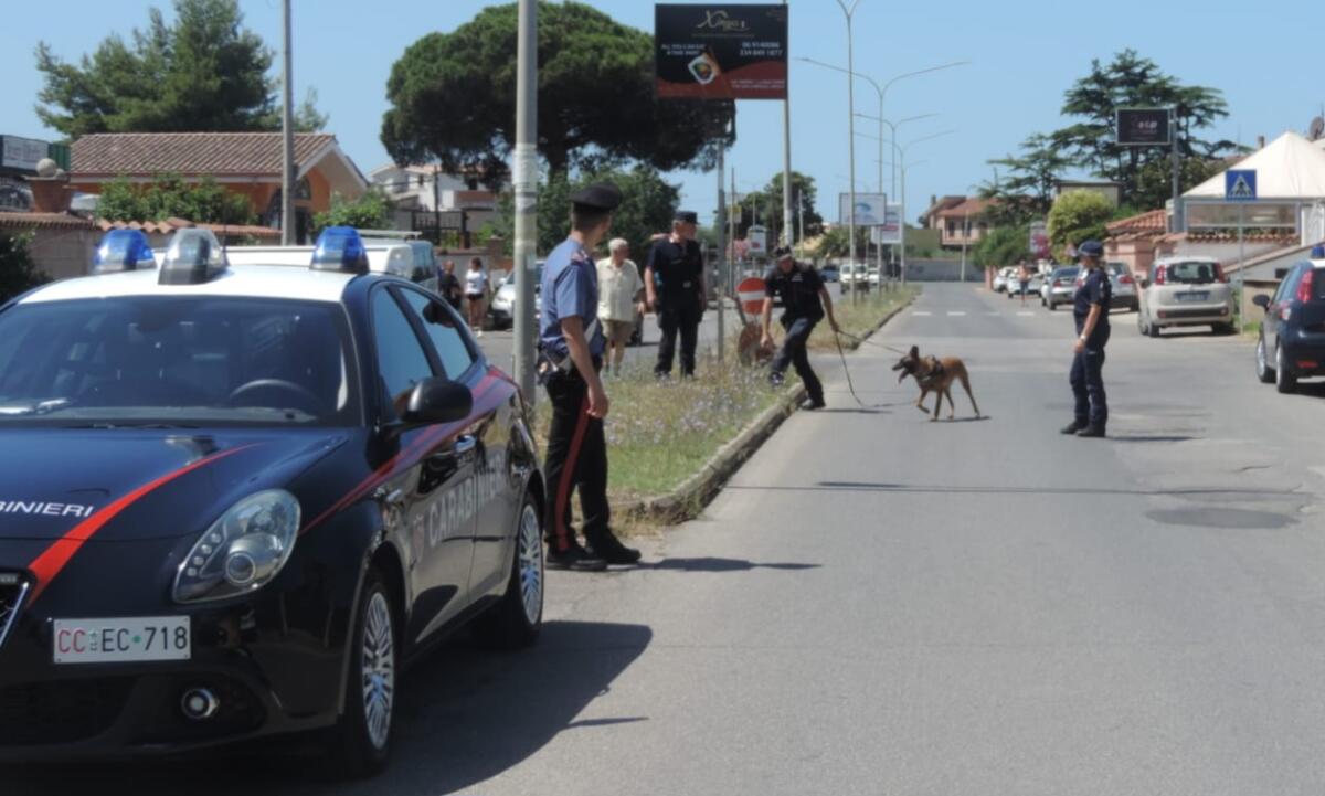 Morti sospette di animali domestici nel quartiere Nuova Florida, ad Ardea: i Carabinieri intervengono con le unità antiveleno. - 