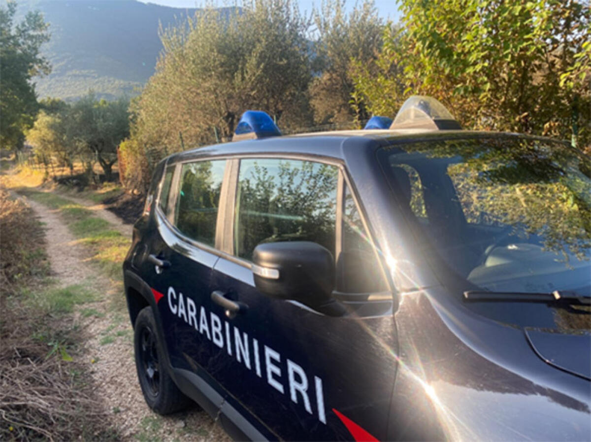 PROSSEDI - Tenta di distruggere con una fiamma un nido di vespe nel suo terreno, provoca un incendio. - 