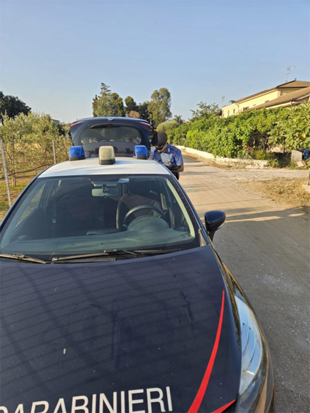 Contrasto al lavoro sommerso in agricoltura nel pontino. Dopo la morte di Satnam Singh aumentano le assunzioni - 