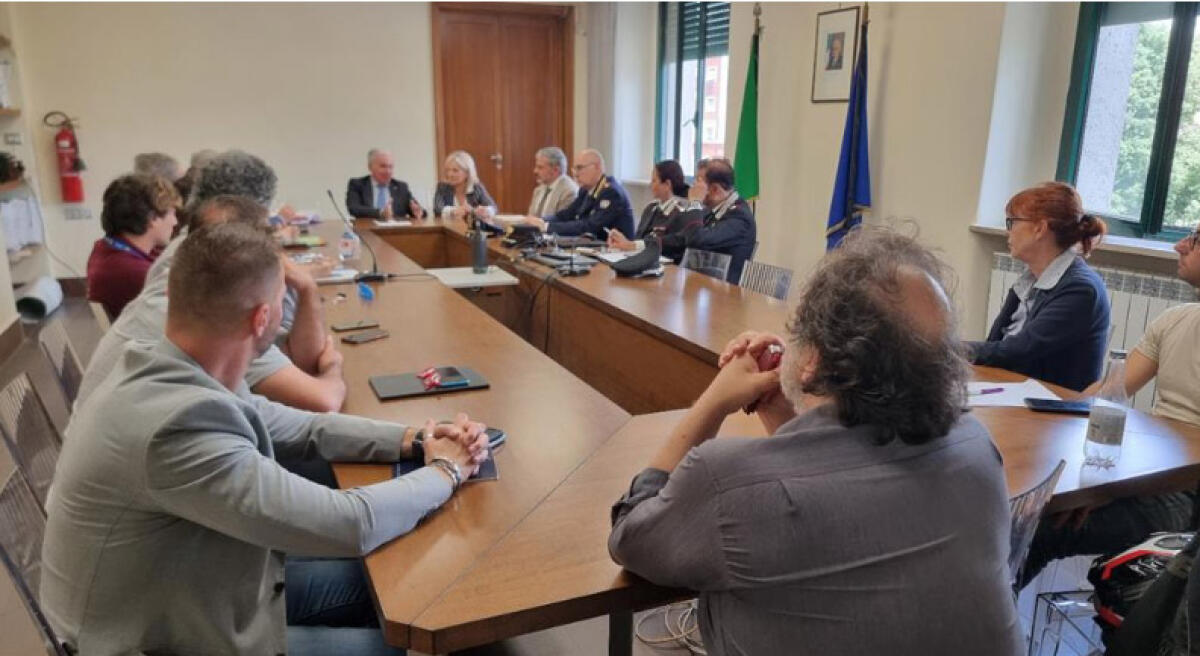 Parco del Circeo, i pini a rischio schianto sulla Pontina saranno rimossi - 