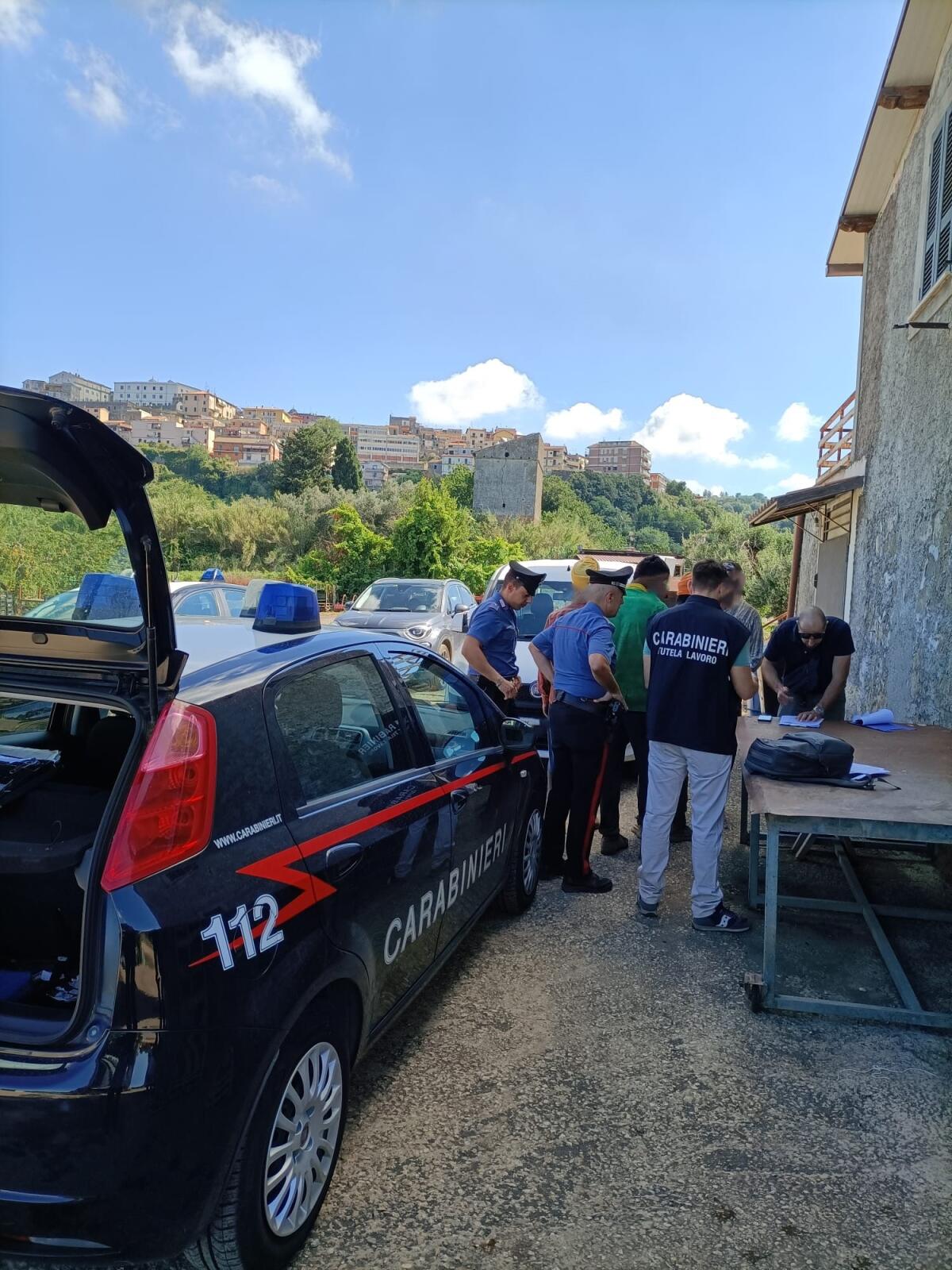 Ariccia: controlli a due aziende agricole. Denunciate due persone - 