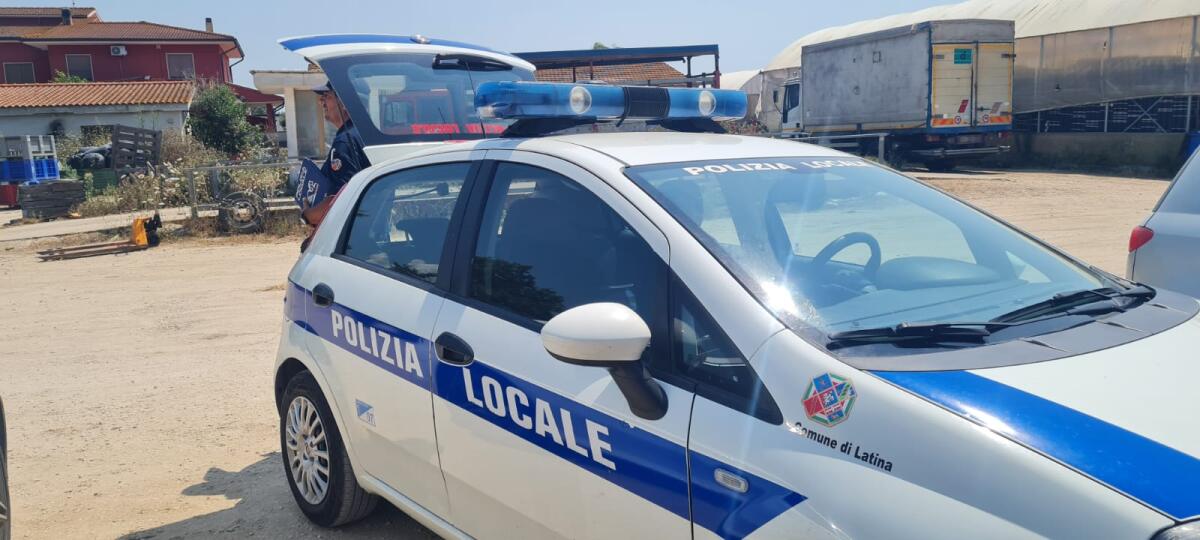 Il Sindaco di Latina segnala cani in gabbia, scatta il sequestro - 
