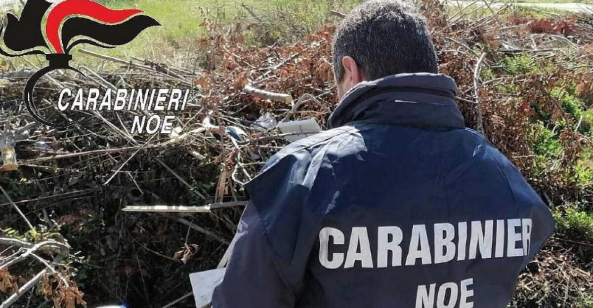 Gestione illecita di rifiuti, denunciato il titolare di un impianto di trattamento a Latina - 