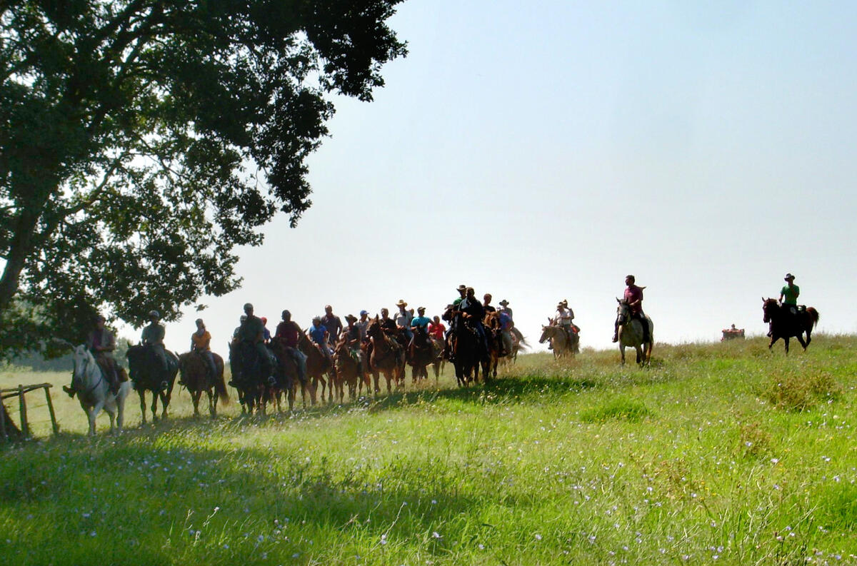 Partita la Marcia della Transumanza. Quattro giorni a cavallo da Anzio a Jenne, passando per Nettuno, Aprilia, Latina e Cisterna - 