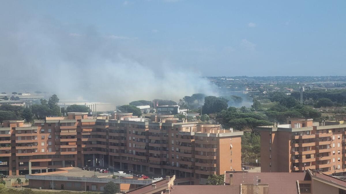 Pontina, incendio all’altezza di Selva dei Pini - 
