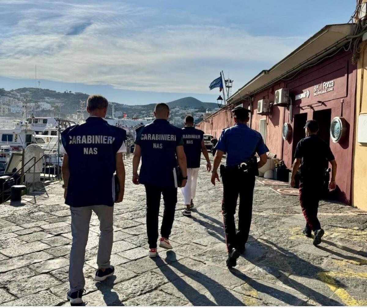 VIDEO - Sequestrate due tonnellate di prodotti e scoperti tre depositi abusivi di alimentari: l'operazione dei NAS a Ponza - 