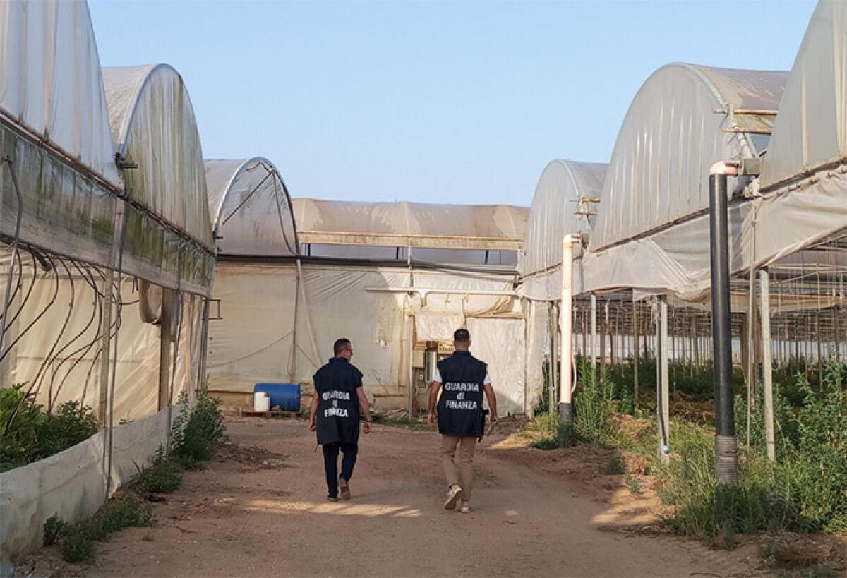 Individuati 15 lavoratori in nero e irregolari in due aziende agricole di Terracina. Operazione della Finanza. - 