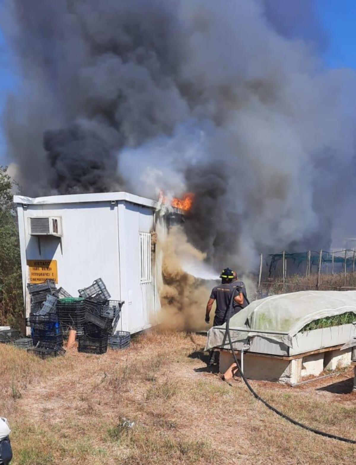 In fiamme allevamento di lumache ad Aprilia, la causa: un corto circuito - 