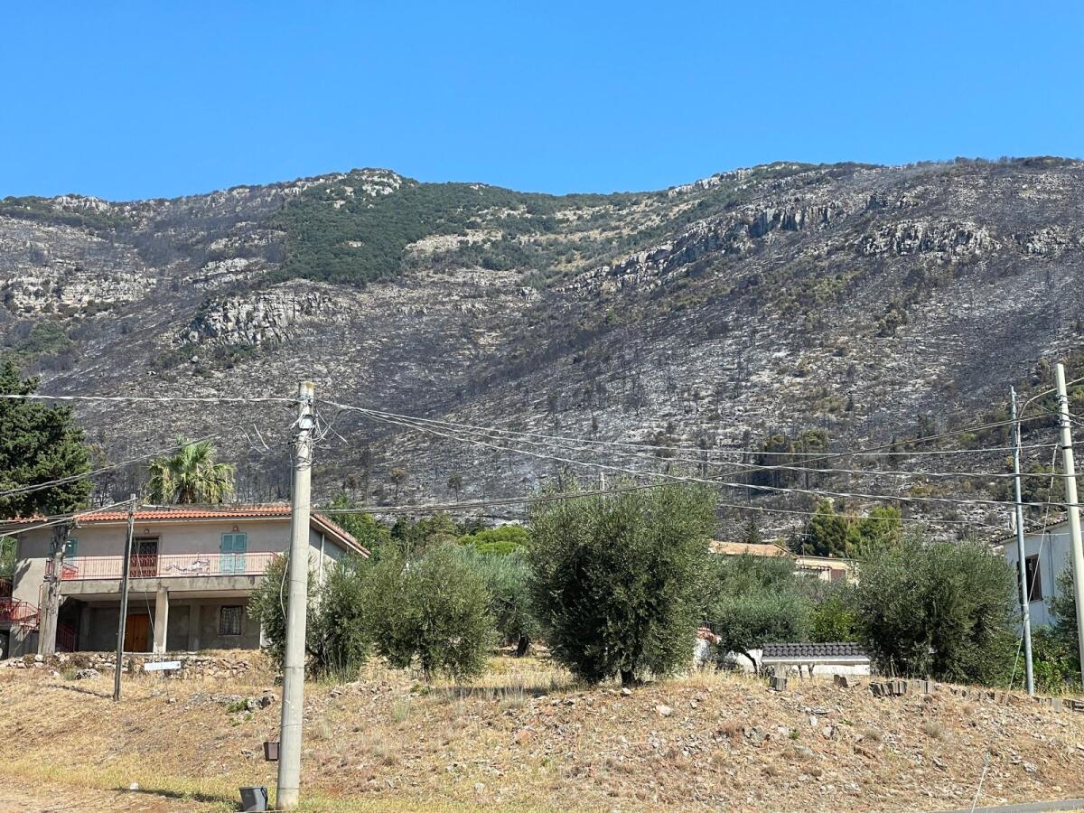 Terracina - Ettari ed ettari di macchia distrutta, ma nessun danno alle persone e alle abitazioni - 