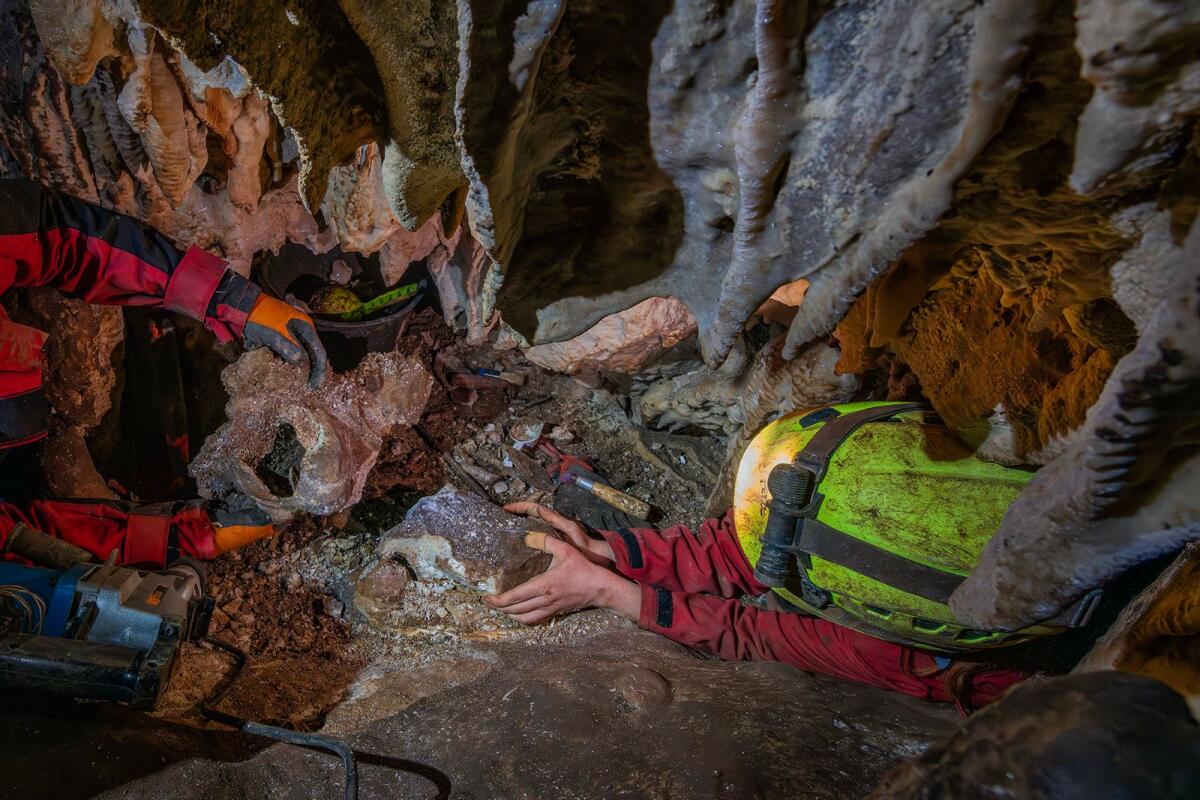 Scavi archeologici a Grotta Vittorio Vecchi, a Sezze: ecco i primi risultati. - 