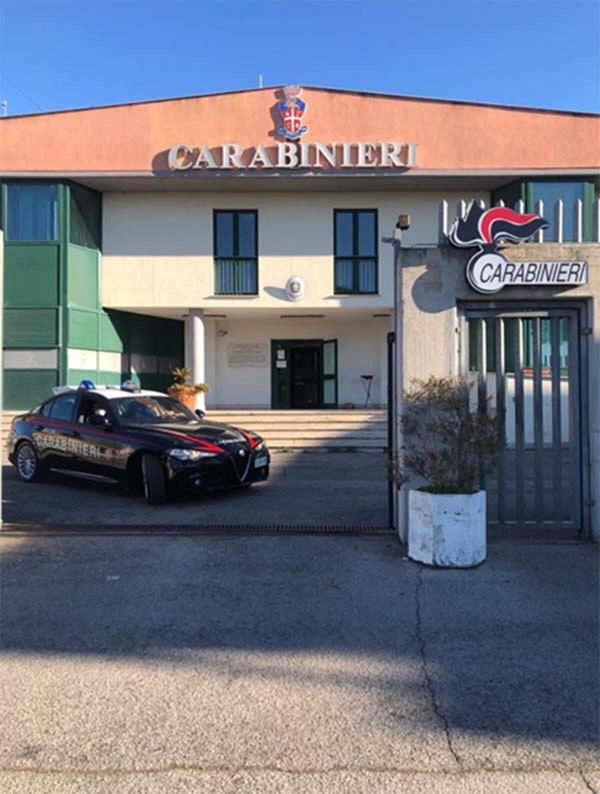 Custodiva asini e capre in condizioni igieniche precarie, denunciato - 