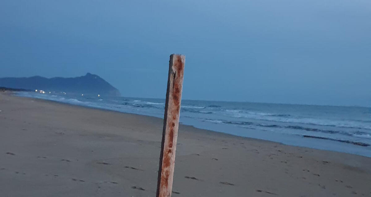 Sabaudia - Toilette abusiva, scattano le multe della Guardia Costiera - 