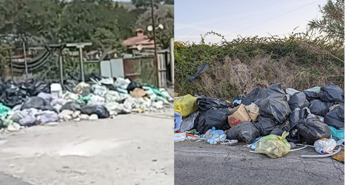 Aprilia - Miasmi e degrado. Cumuli di immondizia dove fanno festa topi e cinghiali - 