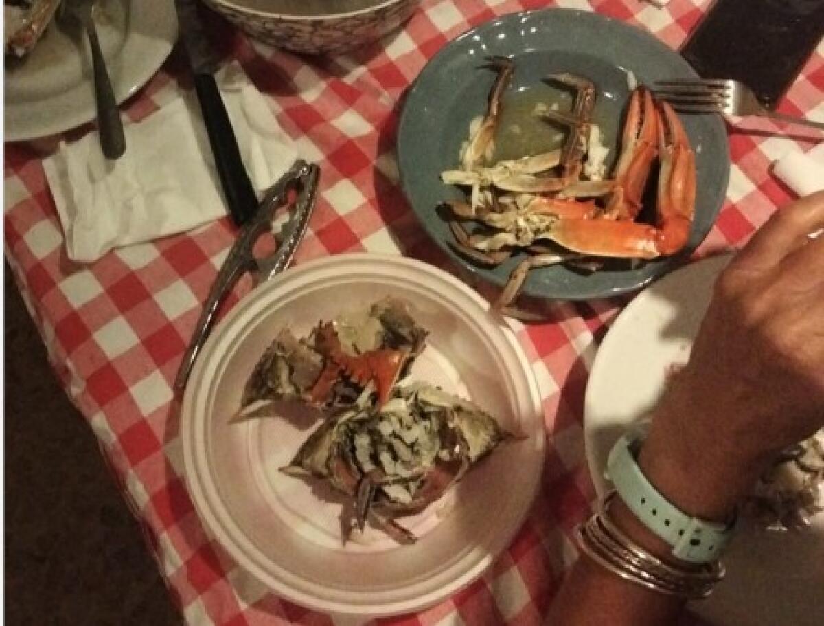 Emergenza granchio blu: stop alla soluzione gastronomica, arriva il commissario - 