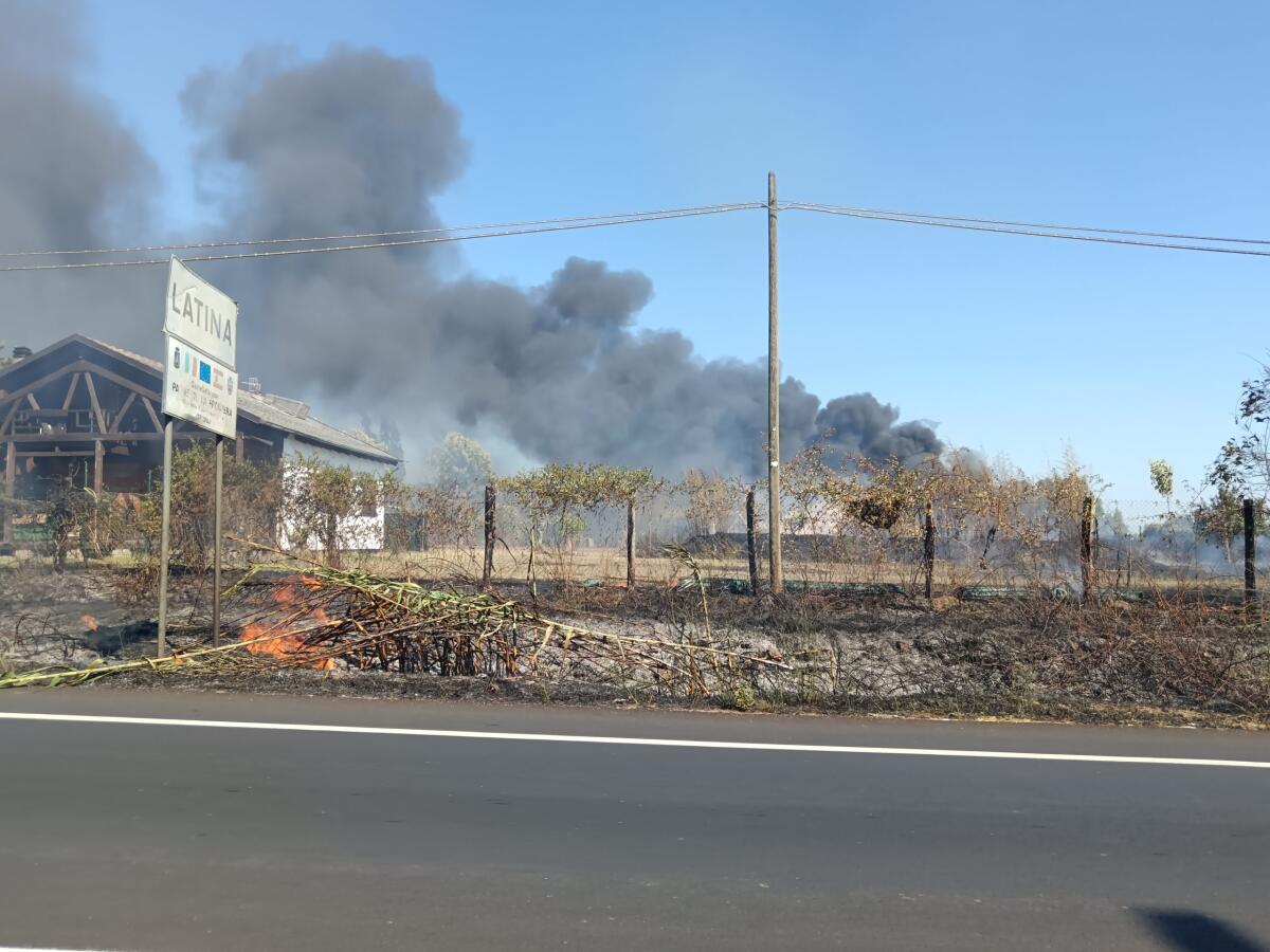 (VIDEO) Fine settimana di  fiamme: da Cisterna a Terracina senza un momento di tregua per i Vigili del Fuoco - 