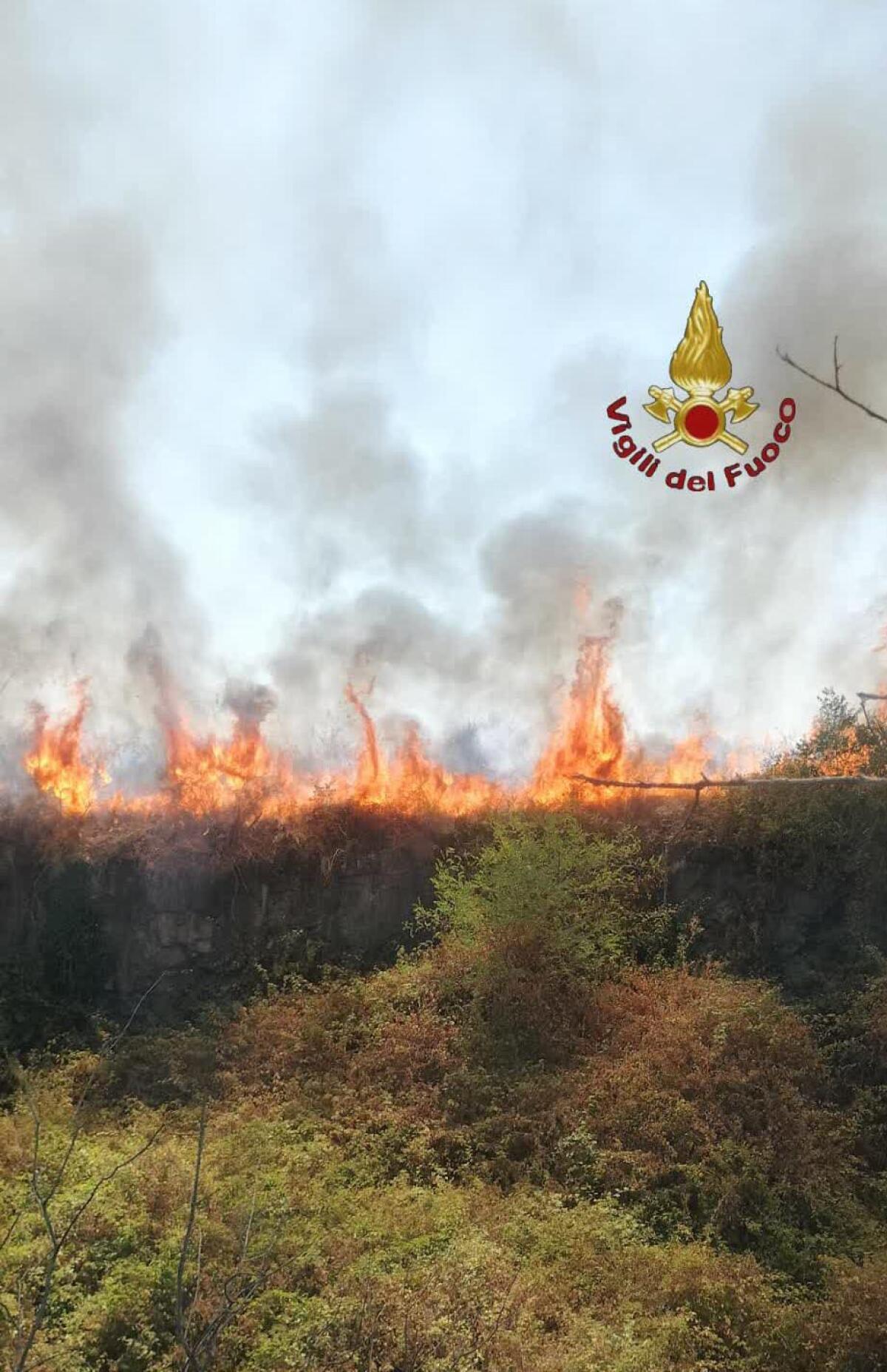 Incendio di sterpaglie sulla Nettunense a Padiglione - 