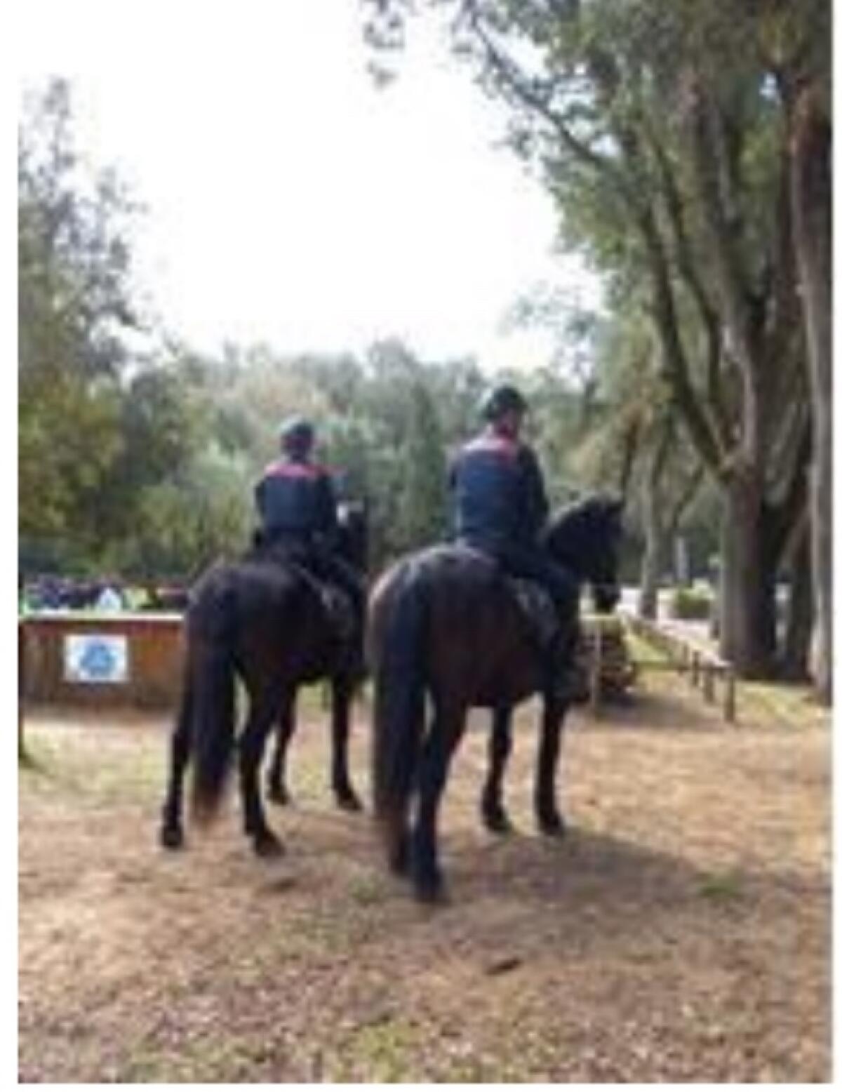 I Carabinieri a cavallo presidiano il Parco del Circeo. Multe per parcheggi selvaggi e sequestri ai pescatori - 