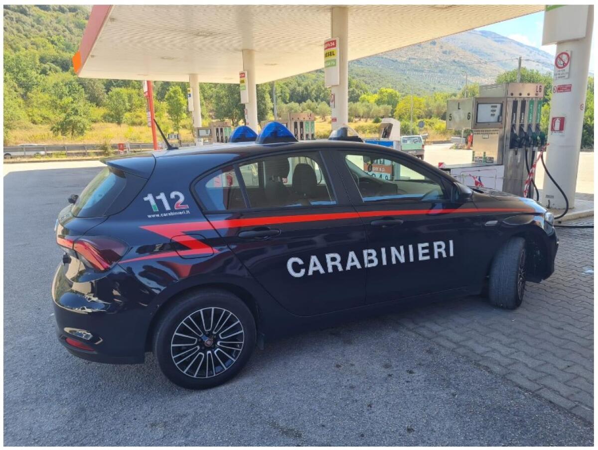 Furto aggravato e ricettazione: denunciato un 22enne indiano - 