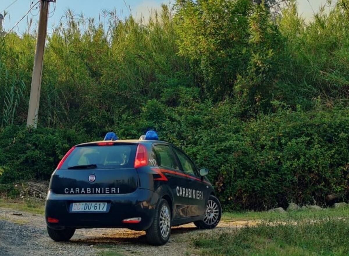 Continue percosse alla moglie, anche in presenza dei figli minori. I Carabinieri di Frascati arrestano un 48enne. - 