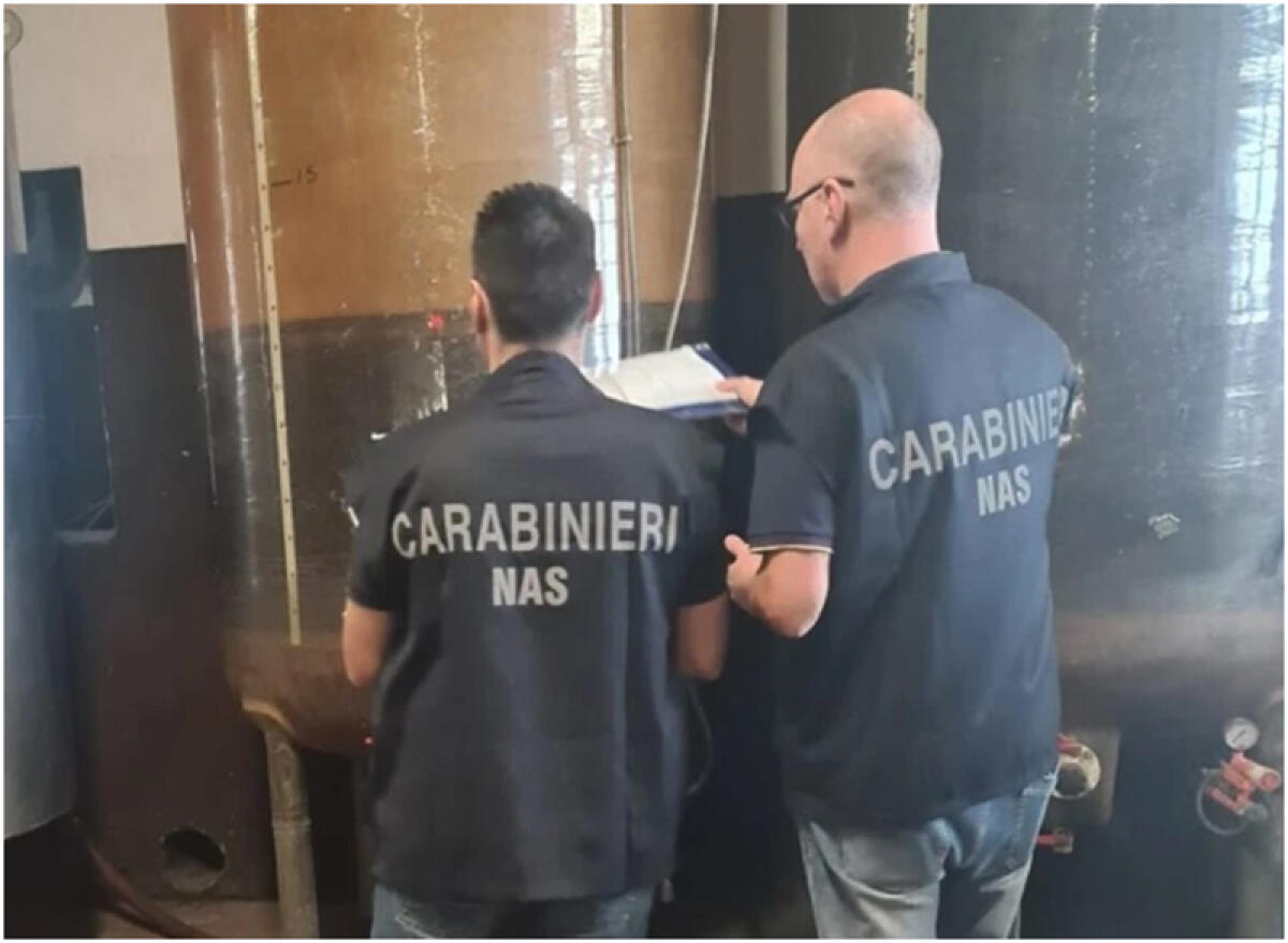 Carenze igienico-santarie, nota cantina vinicola dei Lepini sospesa - 