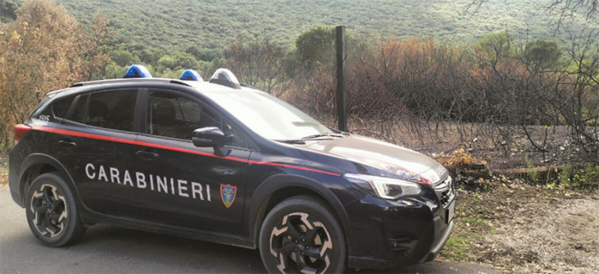 Fiamme dolose all’interno del Parco Nazionale del Circeo: i Carabinieri denunciano il presunto autore. - 