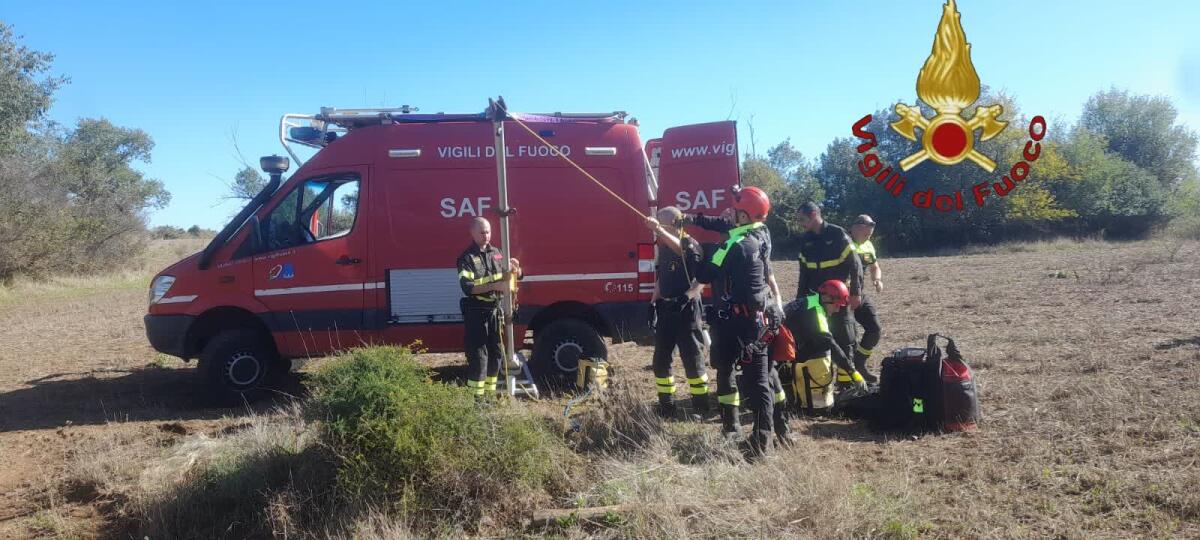 Un cane finisce in un pozzo, salvataggio dei Vigili del Fuoco del Comando Provinciale di Roma. - 