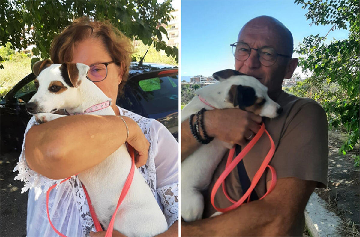 Ritrovata la cagnolina che era nel camper rubato dal parcheggio di Aprilia2. - 