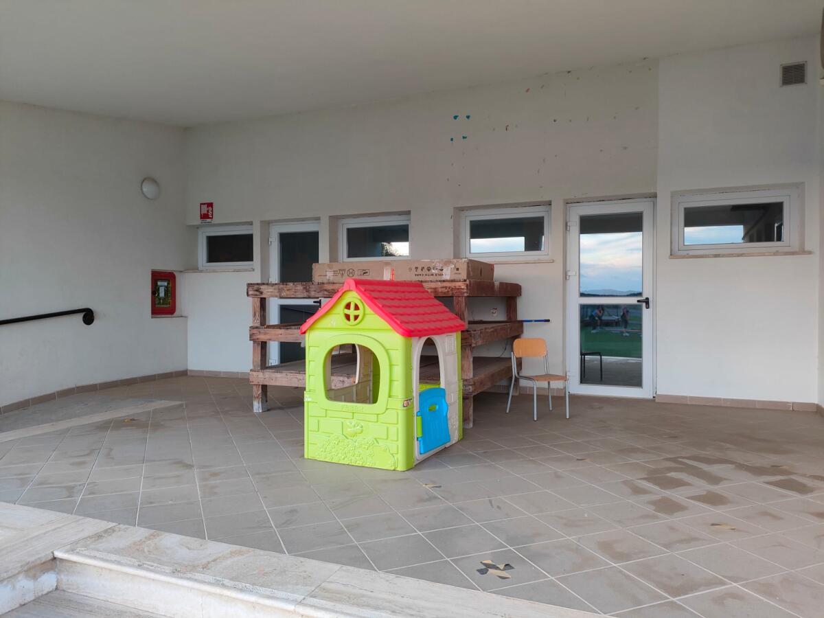 Sciame di vespe all’asilo di Selciatella, ad Aprilia: finestre chiuse e bambini serrati in classe da giorni”.   - 